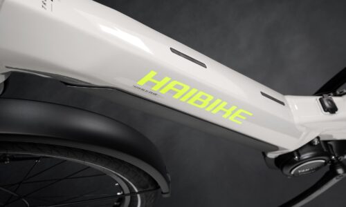 Haibike Trekking 6 LOW grey