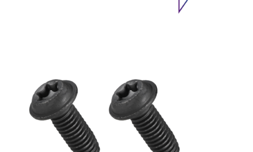 Bosch eBike Juego de tornillos para placa de montaje (BDU37YY)