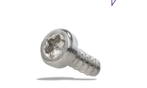 Bosch eBike Tornillo de la cubierta de la pila del System Controller