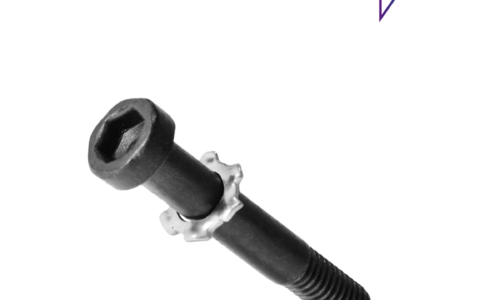 Bosch eBike Tornillo para placa de montaje del Intuvia 100