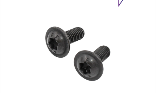 Bosch eBike Juego de tornillos para PowerMore 250 (BBP362Y)