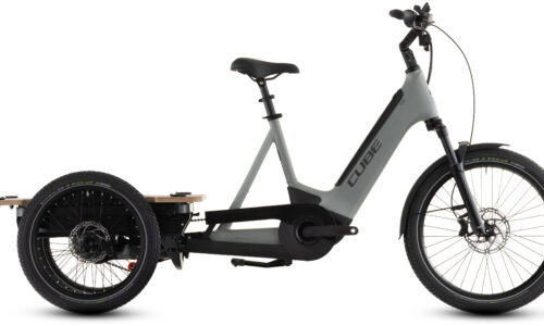 Cube Trike Flatbed Hybrid 750 Wh swampgrey´n´reflex - Bicicleta Eléctrica Cargo 2026