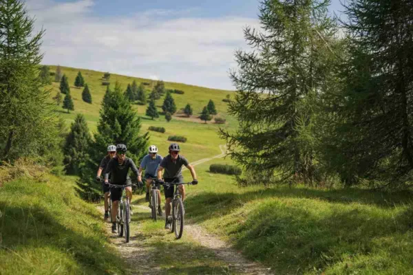 Cube Reaction Hybrid ONE 720 FE pearlsilver´n´chrome – Bicicleta Eléctrica de Montaña 2027 Cuadro abierto - Ebike.es,  Gran tienda de bicicletas eléctricas en España