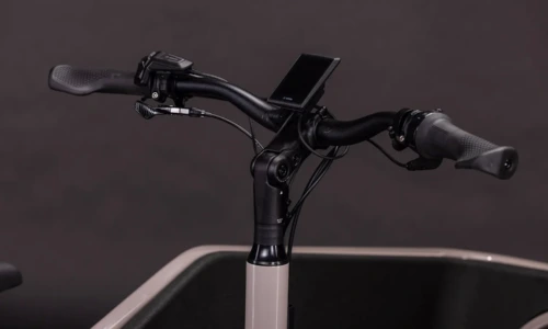 Bicicleta eléctrica Cube Cargo Hybrid Comfort Pro 800 oatgrey´n´reflex – detalle 2 | Ebike.es