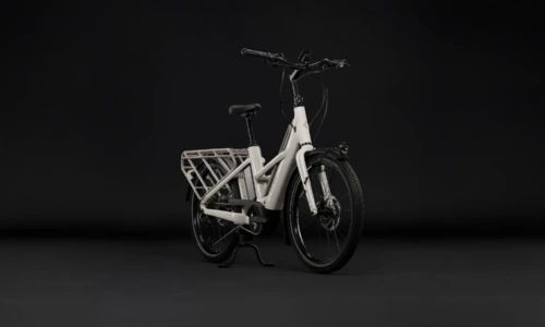 Bicicleta eléctrica Cube Longtail Hybrid 800 greybeige´n´grey – vista frontal | Ebike.es