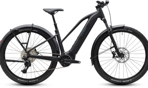 Bicicleta eléctrica Cube Reaction Hybrid Pro 800 FE silverdust´n´prism Cuadro semiabierto – vista lateral | Ebike.es