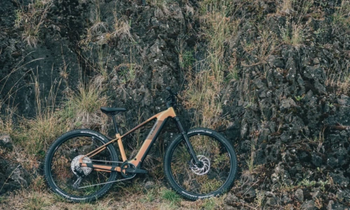 Bicicleta eléctrica Cube Reaction Hybrid SLX 800 autumn´n´black Barra alta – vista en exterior | Ebike.es