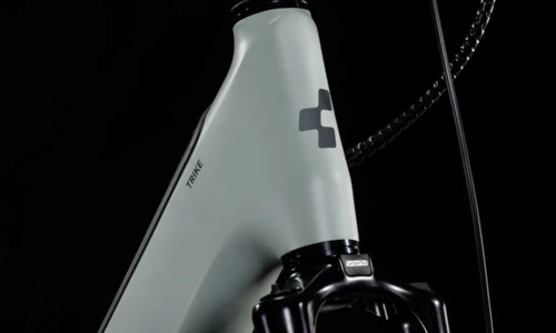 Bicicleta eléctrica Cube Trike Family Hybrid 1500 swampgrey´n´reflex – detalle 1 | Ebike.es