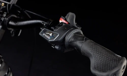 Bicicleta eléctrica Cube Trike Family Hybrid 1500 swampgrey´n´reflex – detalle 4 | Ebike.es